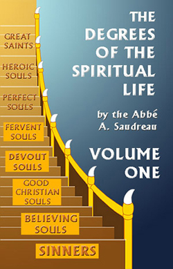 Degrees of the Spiritual Life Vol 1